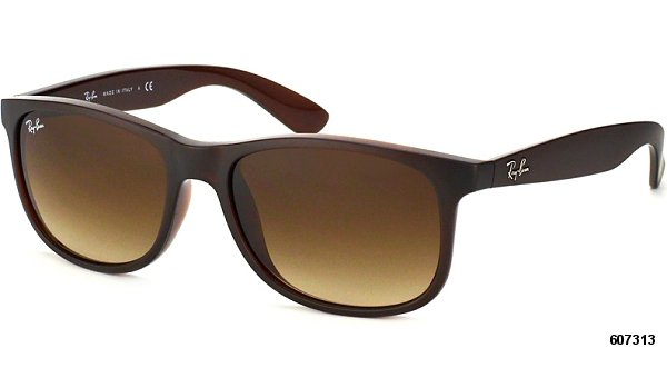 Ray Ban RB 4202 607313 55 ANDY