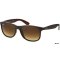 Ray Ban RB 4202 607313 55 ANDY