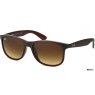 Ray Ban RB 4202 607313 55 ANDY