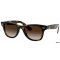 Ray Ban RJ 9066S 152/13 47 JUNIOR WAYFARER