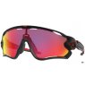 Oakley OO9290-2031 JAWBREAKER