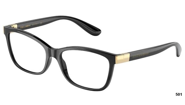 Dolce & Gabbana DG 5077 501 54