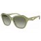 EMPORIO ARMANI EA 4221 61168E 56
