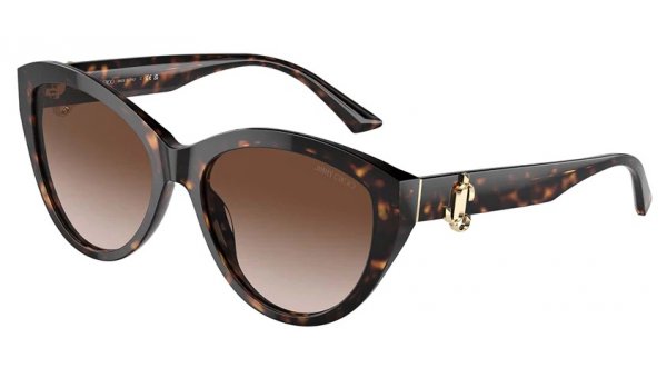 Jimmy Choo JC5007 500213 55