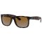 Ray Ban RB 4165 865/T5 55 JUSTIN POLARIZACE