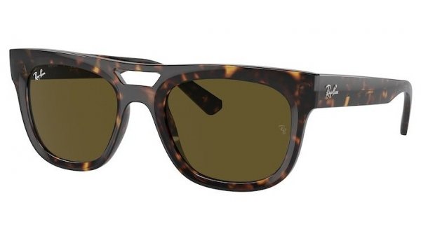 Ray Ban RB 4426 135973 54 PHIL