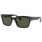 Ray Ban RB 2190 901/31 55