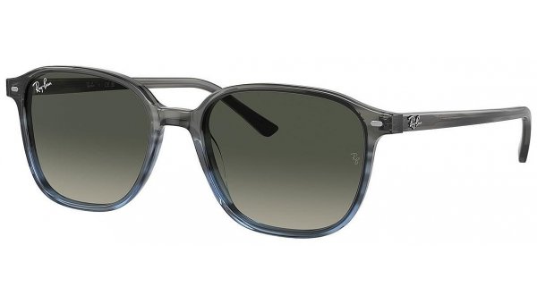 Ray Ban RB 2193 138171 55