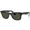 Ray Ban RB 2140 129431 50 WAYFARER
