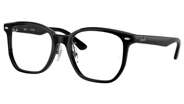 Ray Ban RX 5425D 2000 54